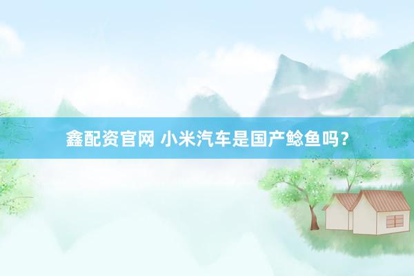鑫配资官网 小米汽车是国产鲶鱼吗？