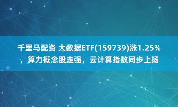 千里马配资 大数据ETF(159739)涨1.25%，算力概念股走强，云计算指数同步上扬