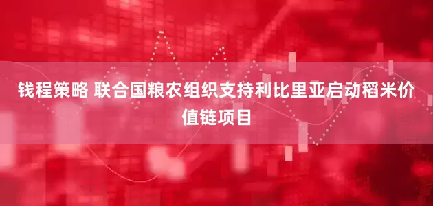 钱程策略 联合国粮农组织支持利比里亚启动稻米价值链项目